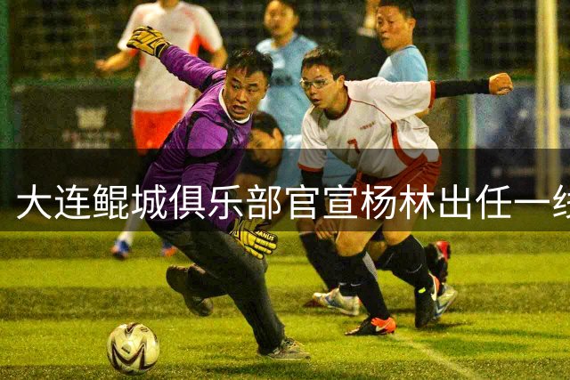 大连鲲城俱乐部官宣杨林出任一线队主教练
