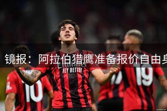 镜报：阿拉伯猎鹰准备报价自由身桑乔，谢尔维为球队主教练